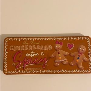 AUTHENTIC TOO FACED EXTRA SPICY PALLET